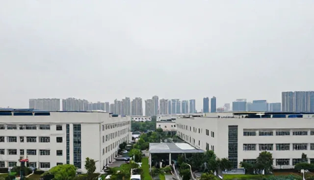 覆盖多个行业的公司信息查询痛点及应对策略